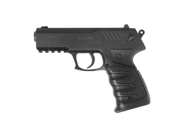 P27 Dual