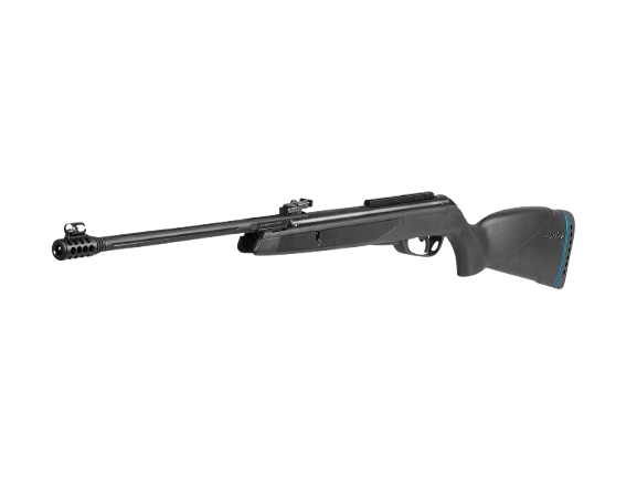 Black Bear IGT